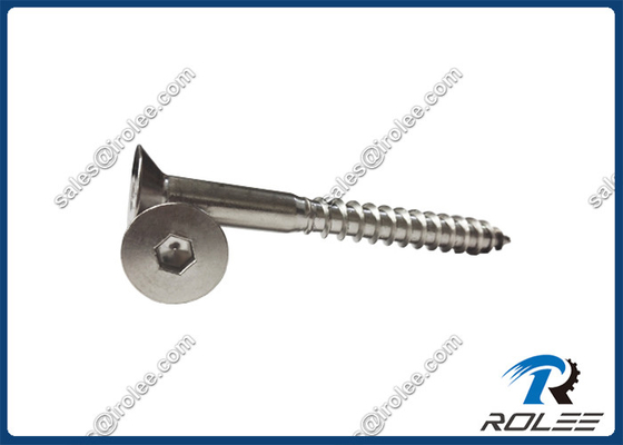 China 304/316 Stainless Steel Hex Drive Timber Wood Screw supplier