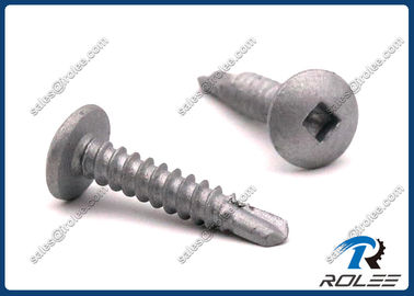 China Disgo 410 Stainless Robertson Square Drive Truss Head Self-drilling Tek Screws supplier