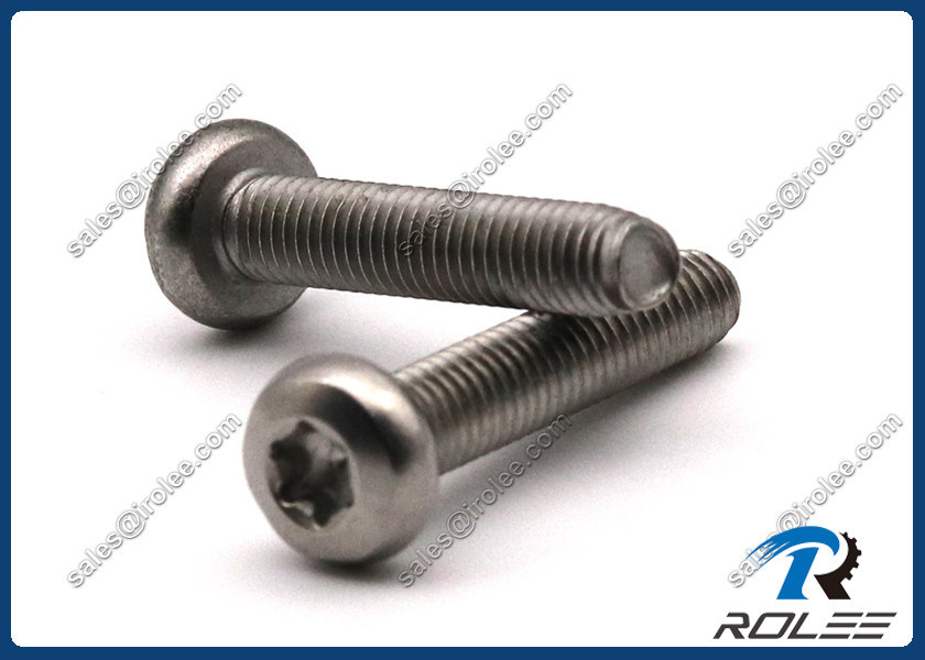 304/316/410 Stainless Torx Pan Head Trilobular Thread Forming Taptite Screws