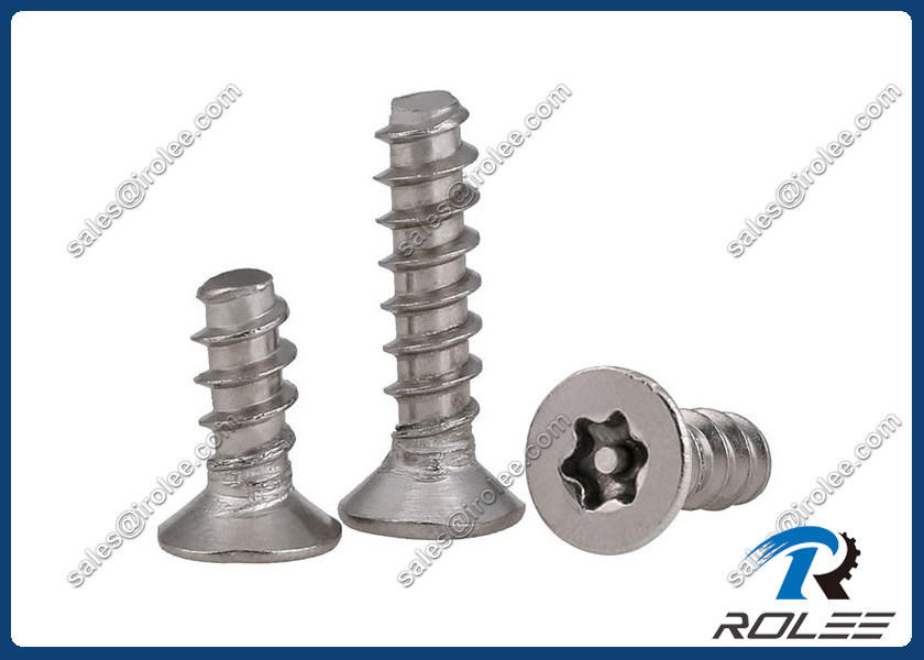 304/316 Stainless Flat Head PinTorx Security Tapping Screws for Plastics