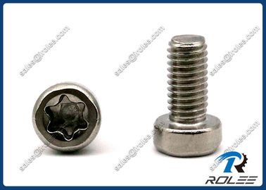 China 18-8/304/316 Stainless Steel Torx Socket Head Cap Screw supplier